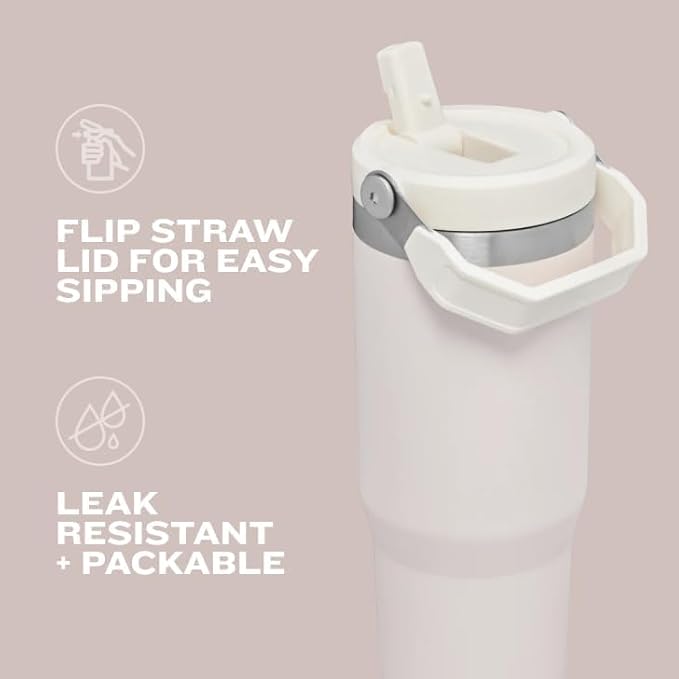 STANLEY IceFlow 2.0 Flip Straw Tumbler, 20 oz, Lilac | Easy Carry Handle |