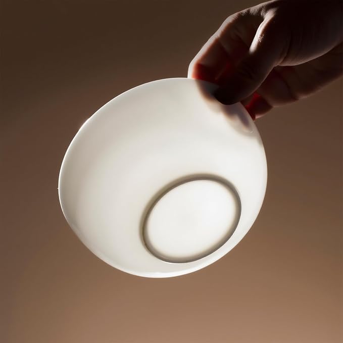 16-Piece Bone China Dinnerware Set