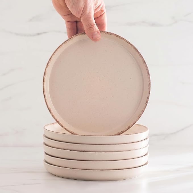24 Piece Stoneware Dinnerware Set