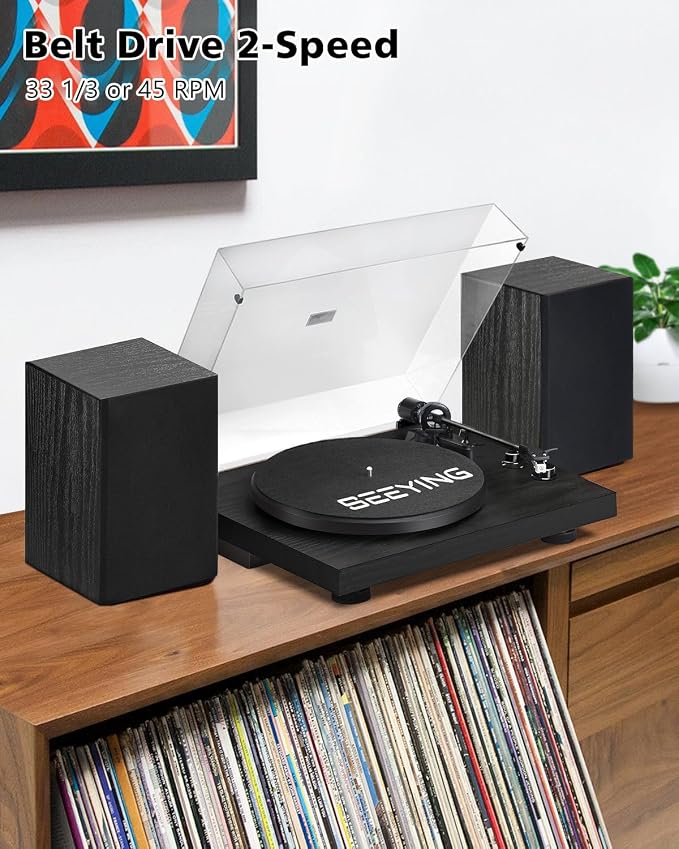 Record Player Vinyl Bluetooth Turntable