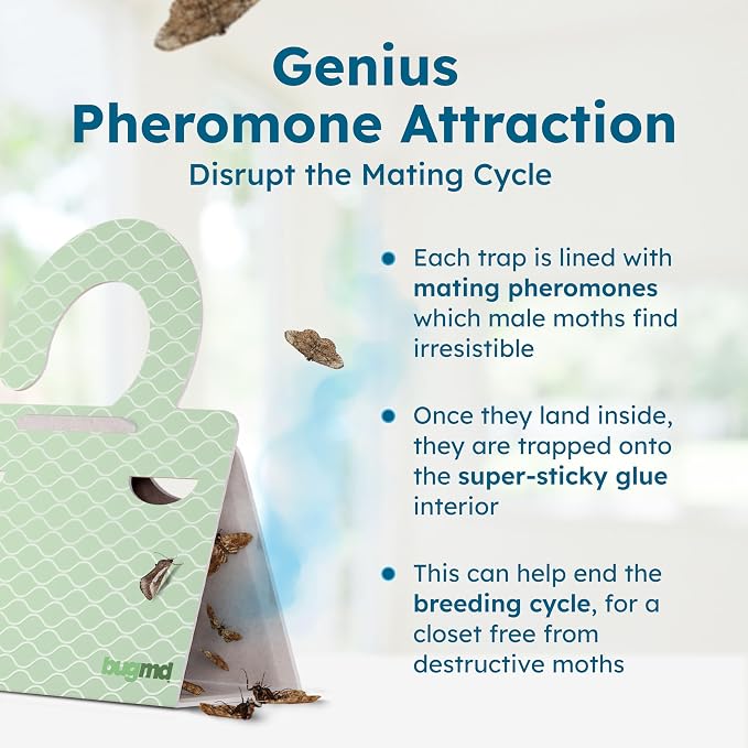 Clothes & Pantry Moth Traps – Sticky Glue Pheromone-Based