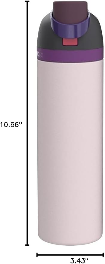 Owala FreeSip Stainless Steel Water Bottle 32 oz Dreamy Field