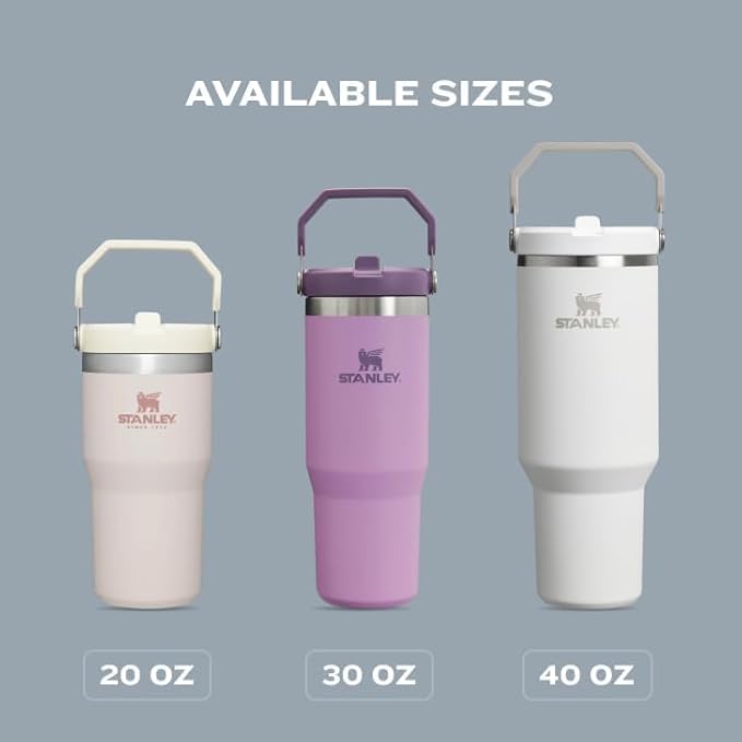 STANLEY IceFlow 2.0 Flip Straw Tumbler, 20 oz, Lilac | Easy Carry Handle |