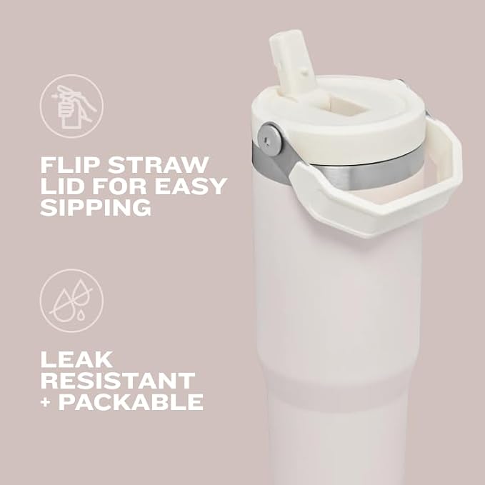 STANLEY IceFlow 2.0 Flip Straw Tumbler, 30 oz, Twilight | Easy Carry Handle |