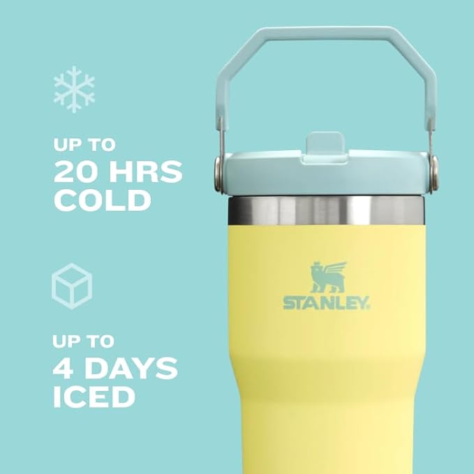 STANLEY IceFlow 2.0 Flip Straw Tumbler, 30 oz, Meadow | Easy Carry Handle |