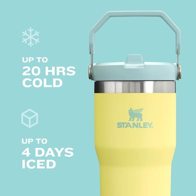 STANLEY IceFlow 2.0 Flip Straw Tumbler, 20 oz, Lilac | Easy Carry Handle |