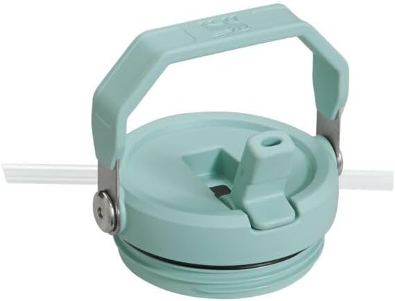 Stanley IceFlow Flip Straw Tumbler