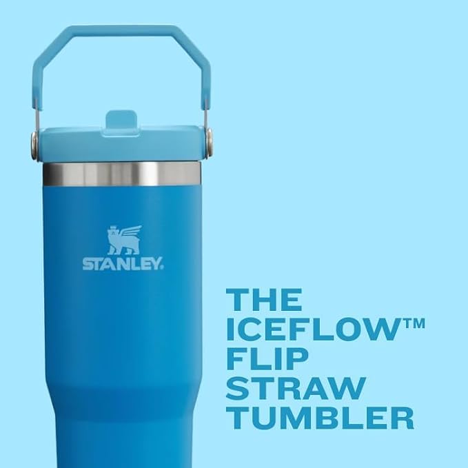 STANLEY IceFlow 2.0 Flip Straw Tumbler, 20 oz, Lilac | Easy Carry Handle |