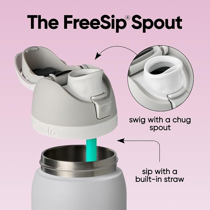 Owala FreeSip Stainless Steel Water Bottle 32 oz Dreamy Field