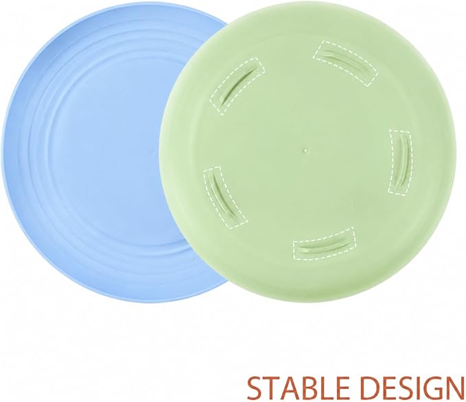 11 Inch Dinner Plates Set of 8