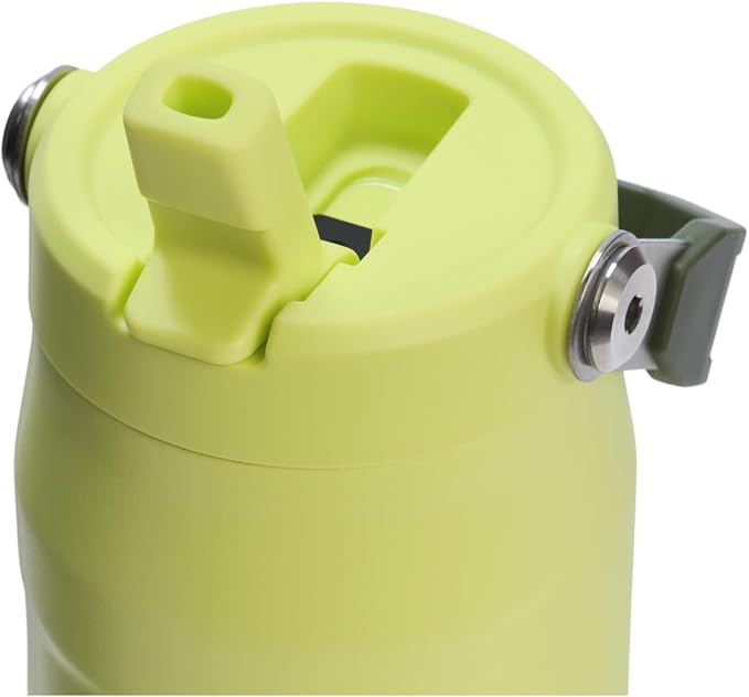 Stanley IceFlow Flip Straw 2.0 Water Bottle 24 oz | Built-In Straw