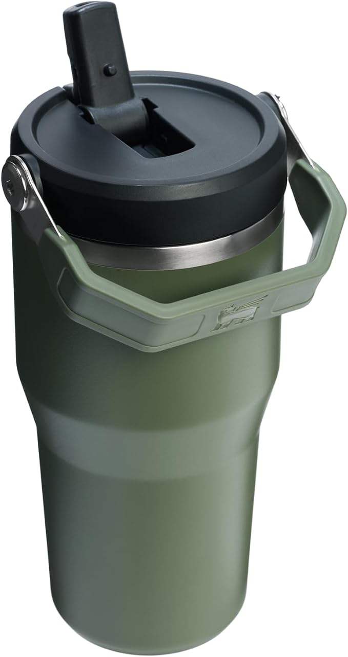 STANLEY IceFlow 2.0 Flip Straw Tumbler, 20 oz, Dried Pine | Easy Carry Handle |
