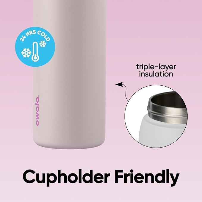 Owala FreeSip Stainless Steel Water Bottle 32 oz Dreamy Field