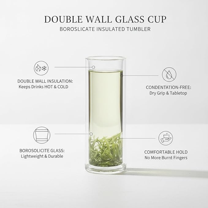 Double Wall Borosilicate Glass Mug