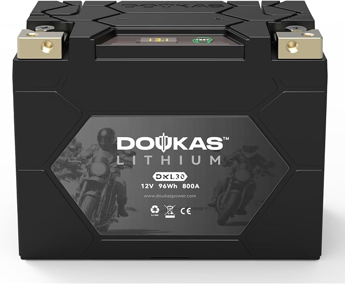 DKL30 800A LiFePO4 Motorcycle Lithium Battery, 12V 8Ah Powersports Battery