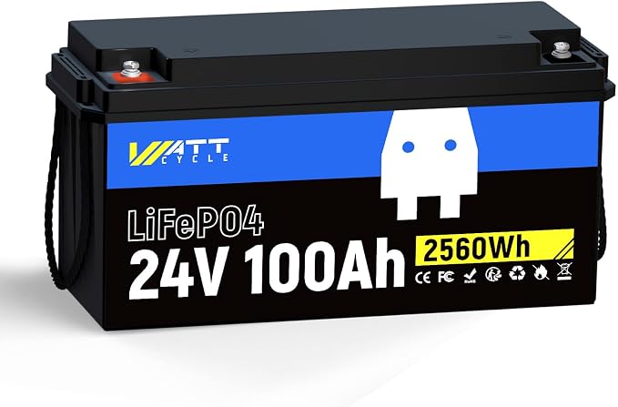 Lifepo4 Battery 100AH 24V Lithium Battery Built-in 100A BMS, Solar System Home
