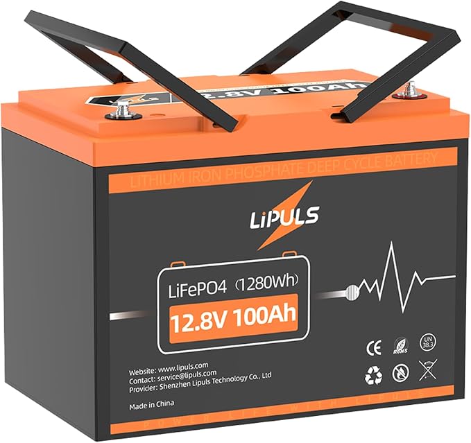12.8V 100Ah LiFePO4 Battery, Group 24 Size • Built-in 100A BMS, Max.1280Wh