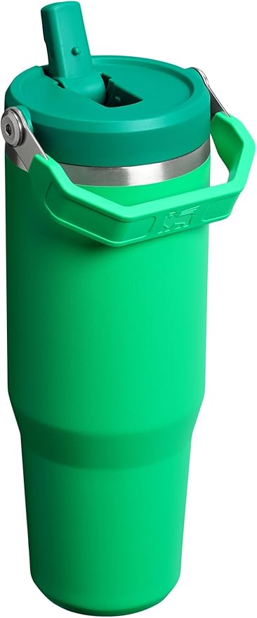 STANLEY IceFlow 2.0 Flip Straw Tumbler, 30 oz, Meadow | Easy Carry Handle |