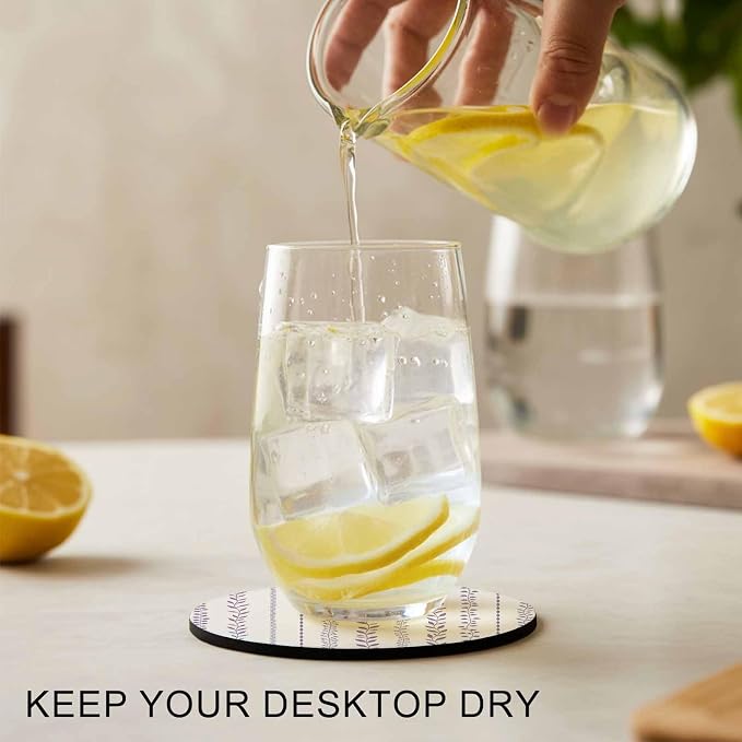 Modern Minimalist Coasters Set of 2, Absorbent Coasters