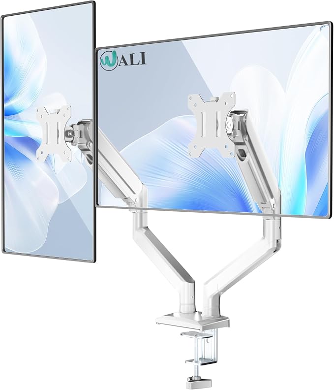 WALI Dual Monitor Stand for 17-32 inch Screens, Dual Monitor Arms for 2