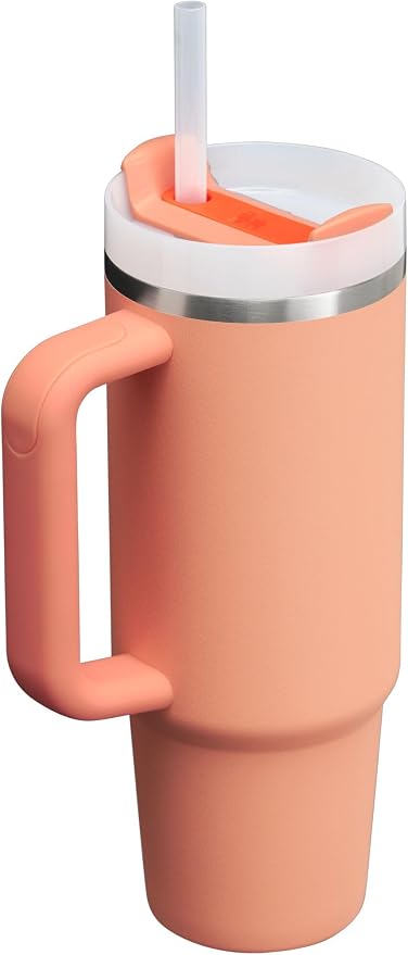 STANLEY Quencher H2.0 Flow State Tumbler, 30 oz, Nectarine | Handle and Straw |