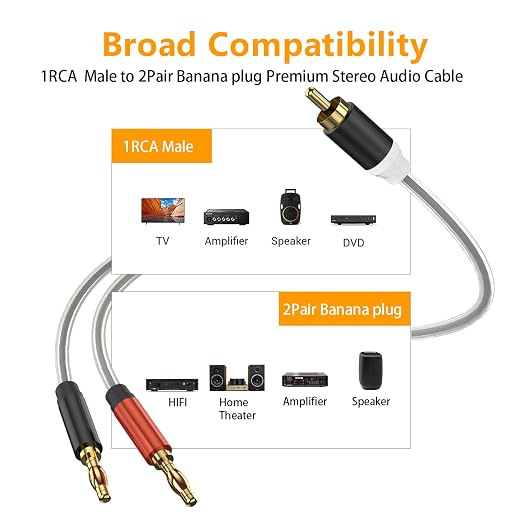 HOSONGIN RCA to Banana Plug Speaker Cable 3.3 Feet -2 Pack