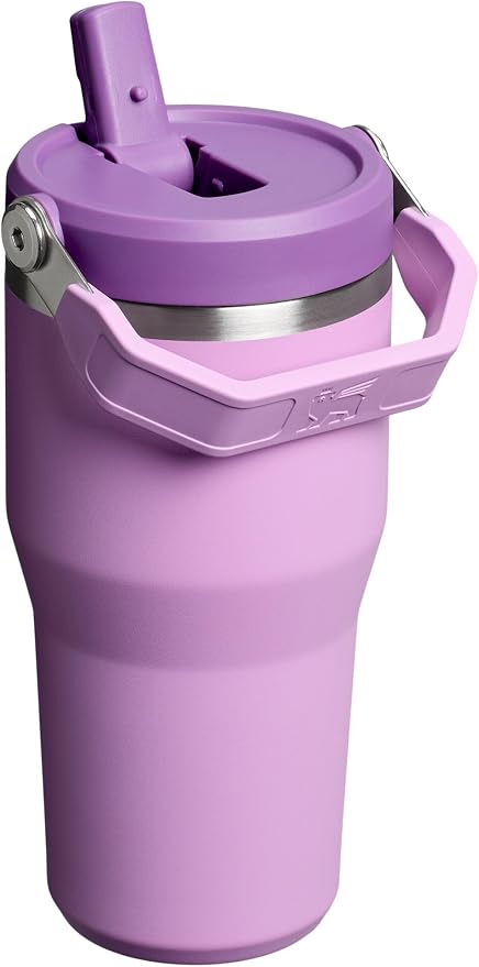 STANLEY IceFlow 2.0 Flip Straw Tumbler, 20 oz, Lilac | Easy Carry Handle |
