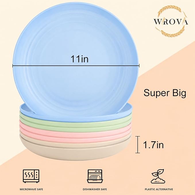 11 Inch Dinner Plates Set of 8