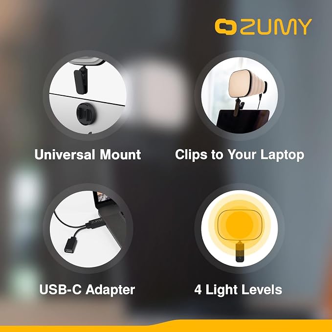 Softbox Video Conference Lighting