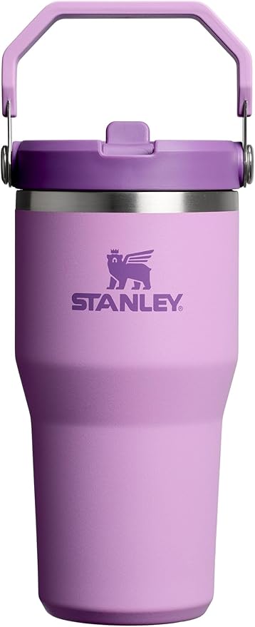 STANLEY IceFlow 2.0 Flip Straw Tumbler, 20 oz, Lilac | Easy Carry Handle |