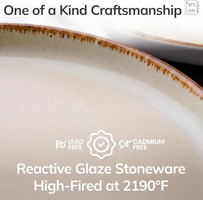24 Piece Stoneware Dinnerware Set