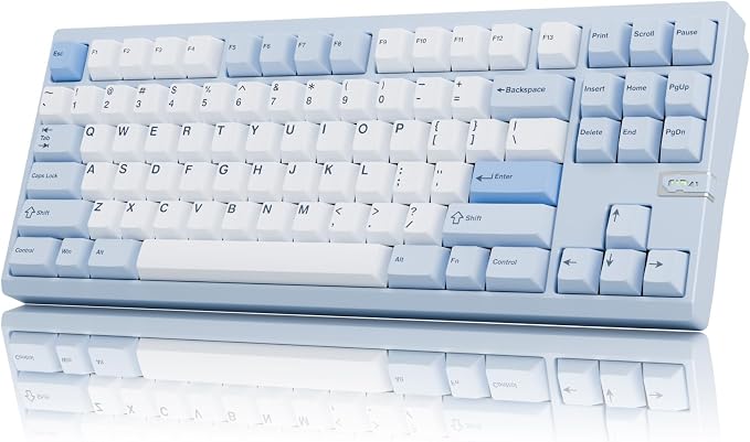 Chilkey ND TKL Aluminum Mechanical Keyboard, 87 Keys Tenkeyless Wireless Gaming