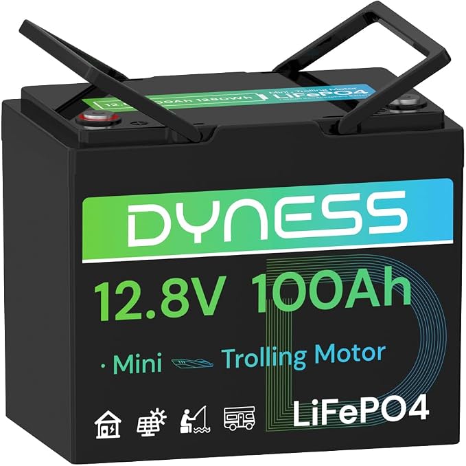 12V 100Ah Mini LiFePO4 Battery Group 24, 12.8V Lithium Battery
