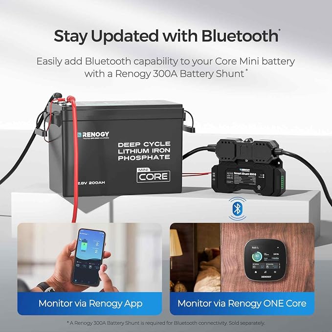 Renogy 12V 200Ah LiFePO4 Lithium Battery Mini Size, 200A Upgraded BMS, 380A