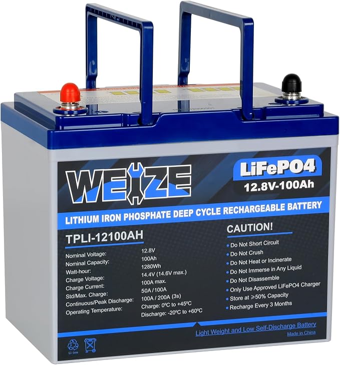 WEIZE 12V 100Ah Mini LiFePO4 Battery, Built-in 100A Smart BMS, Deep Cycle