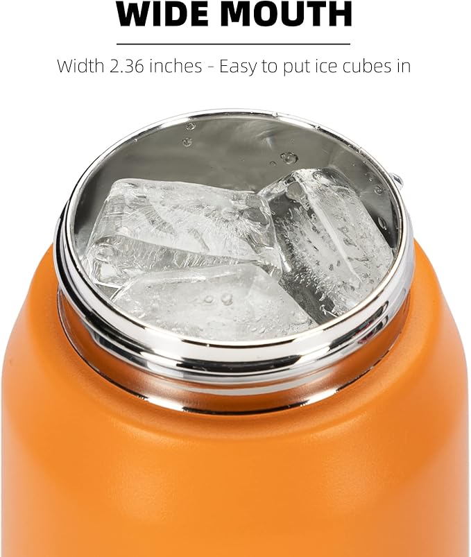Fanhaw 24 oz Insulated Stainless Steel Water Bottle