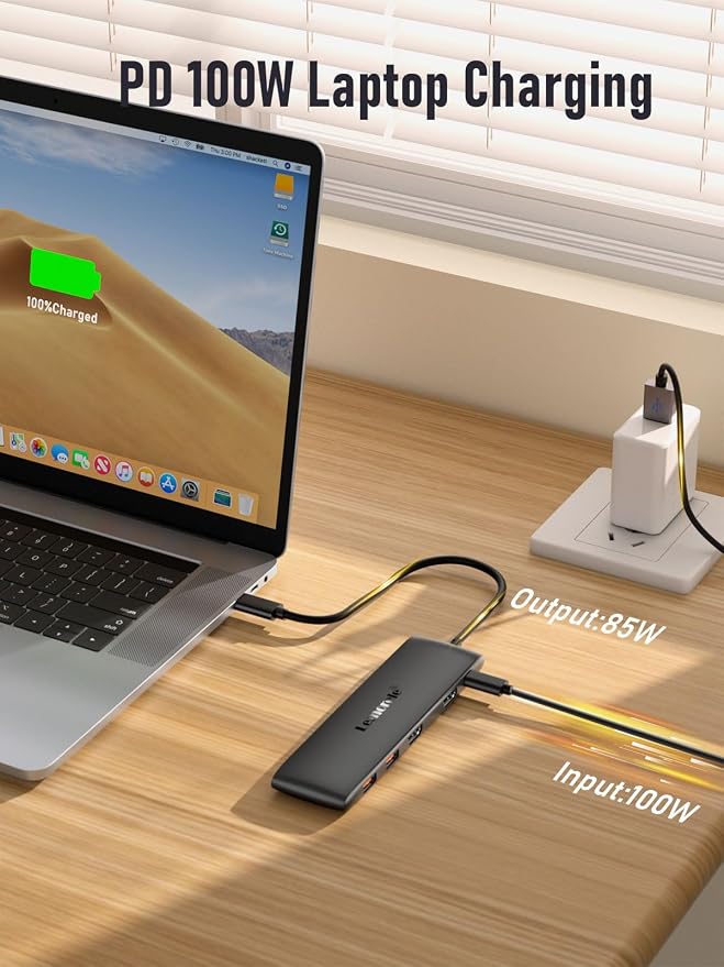 Lemorele 10 -in-1 USB C Docking Station