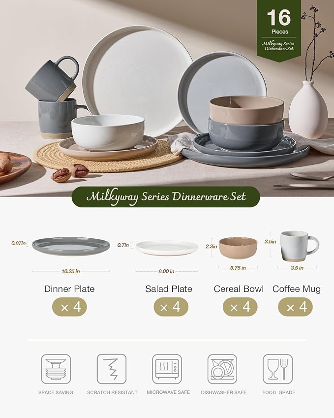 Famiware Milkyway 16-Piece Dinnerware Set