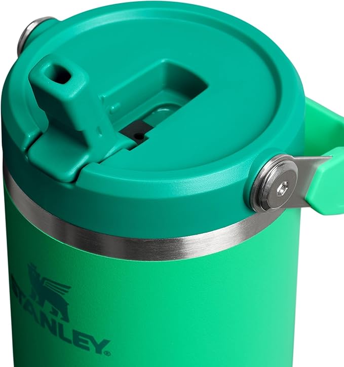 STANLEY IceFlow 2.0 Flip Straw Tumbler, 30 oz, Meadow | Easy Carry Handle |
