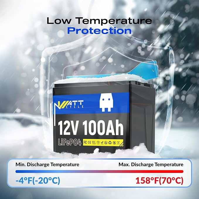 2-Pack 12V 100Ah LiFePO4 Battery BCI Group 24-15000 Cycles, Built-in 100A BMS