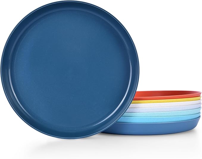 10 Inch Large Plastic Dinner Plates Set of 8 Wheat Straw Plates