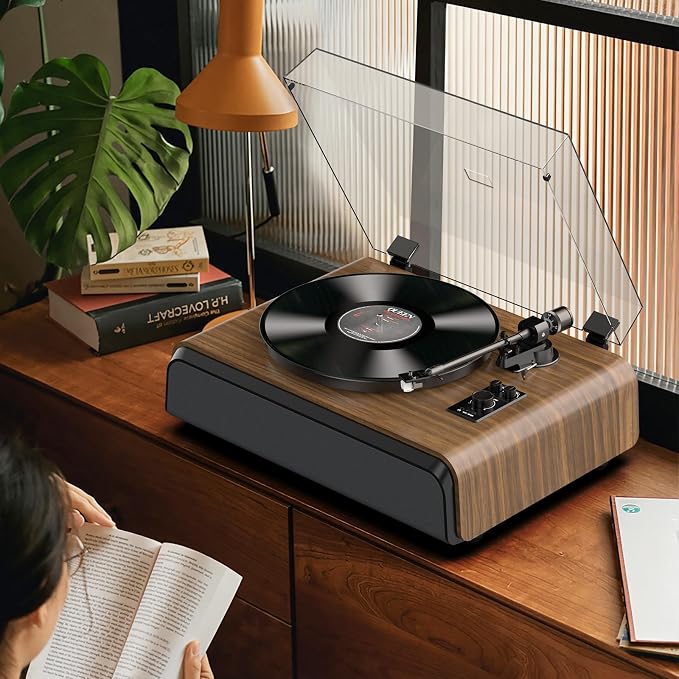 Record Player High-Fidelity Turntable