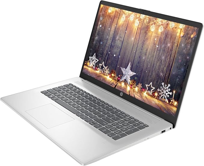 HP 17.3" Business Laptop Computer, 64GB RAM 2.2TB Storage, 10-Core Intel Core i5