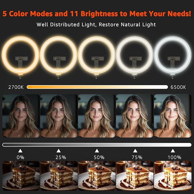 10" LED Ring Light with Overhead Phone Stand, CRI≥95 1200lm Dimmable Lighting
