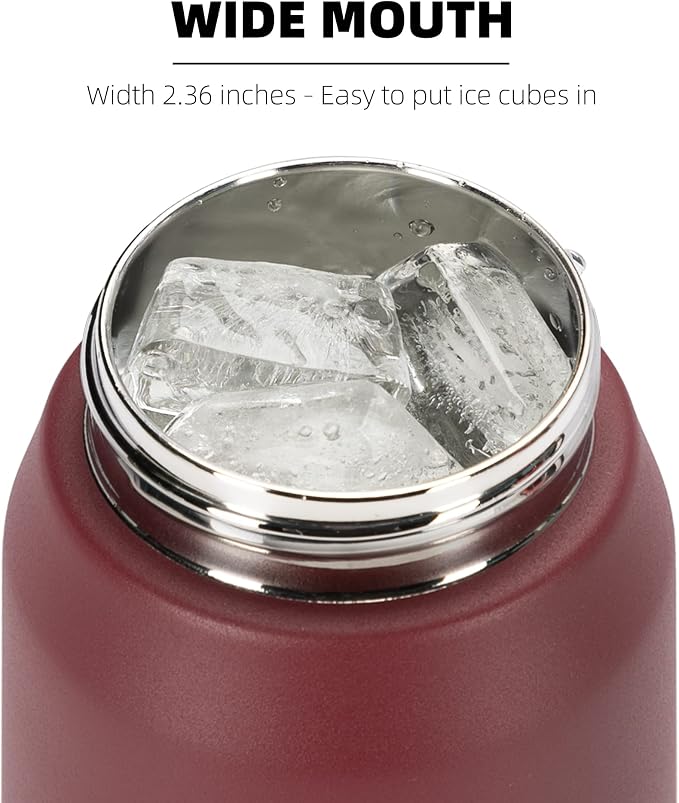 Fanhaw 24 oz Insulated Stainless Steel Water Bottle