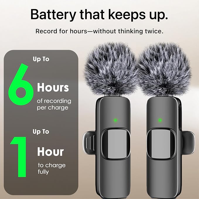 Mini Mic Pro