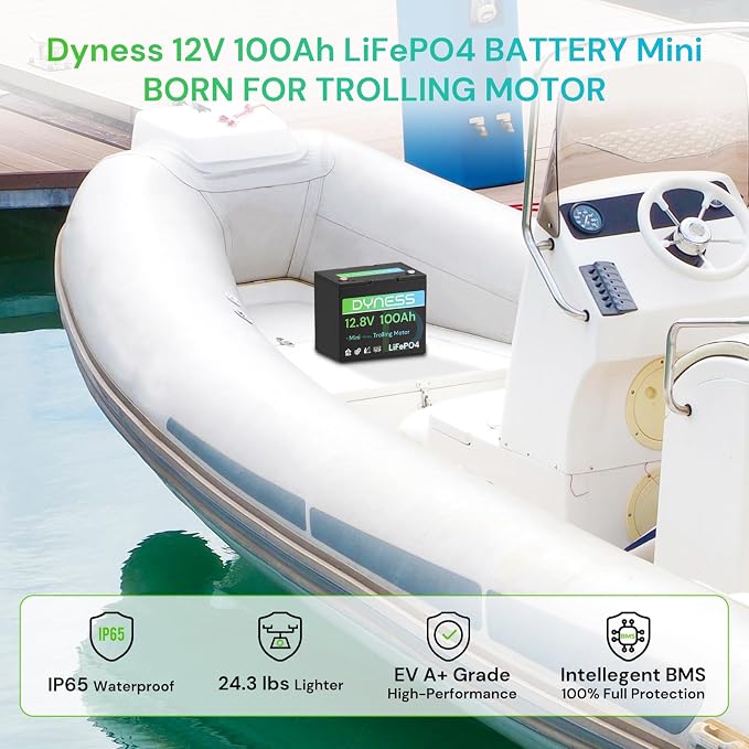 12V 100Ah Mini LiFePO4 Battery Group 24, 12.8V Lithium Battery
