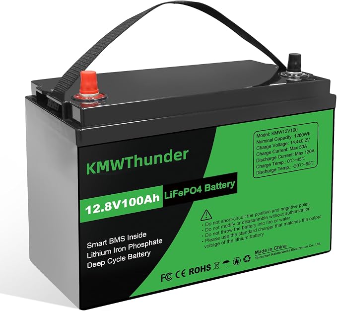 12V 100Ah LiFePO4 Lithium Battery, Built-in Smart BMS, Low Temperature