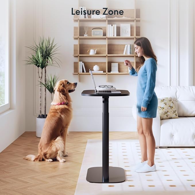 FLEXISPOT Adjustable C Table