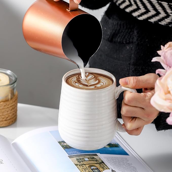 HASENSE Coffee Mugs Set of 4, 15 Ounce Porcelain Latte Mug Set